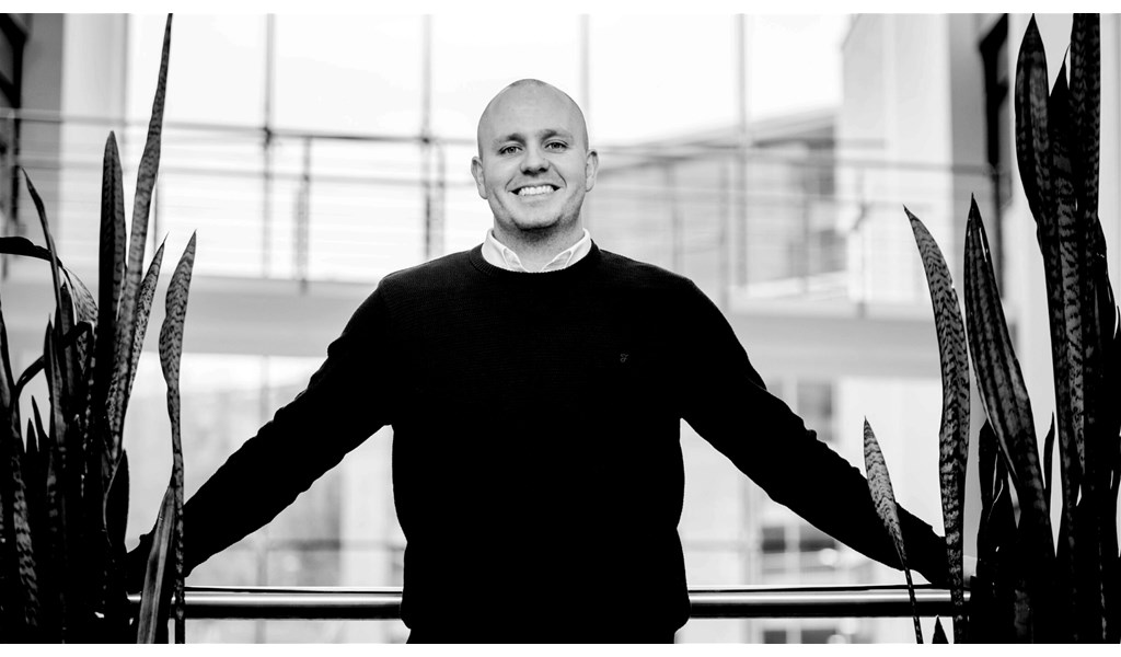Northeast digital agency ROAR launches DIY SEO software to boost small business online success.